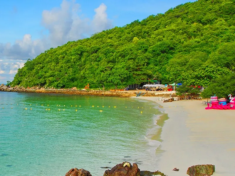 A quiet beach with turquoise water below a forested hill near Pattaya